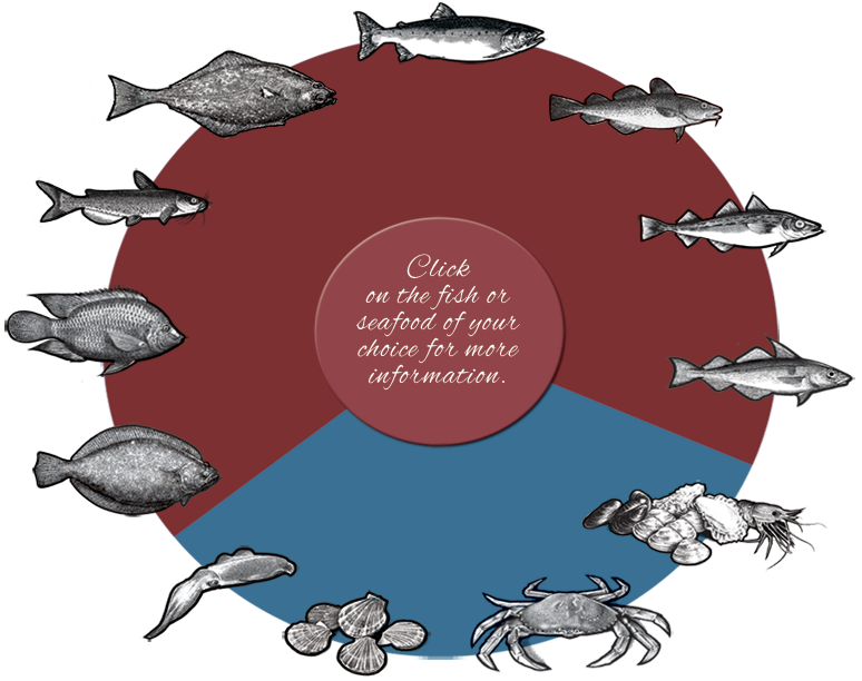 seafood selector wheel